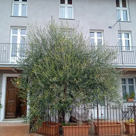 Casa Tuja Lejlighed *
